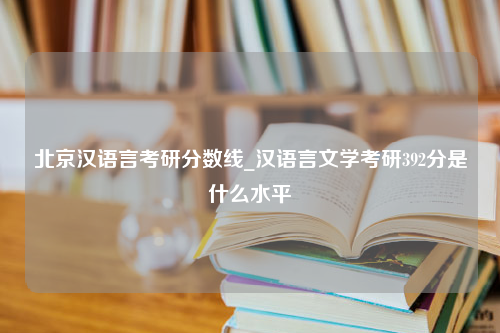 北京汉语言考研分数线_汉语言文学考研392分是什么水平